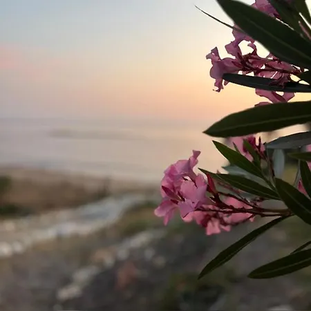 Elea Petrochori Πετροχώρι