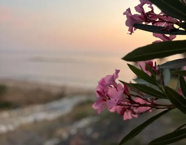 Elea Petrochori Petrochori (Peloponnese)